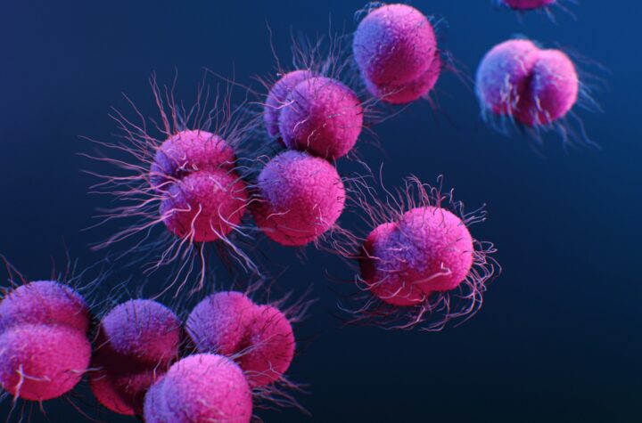 faktor risiko utama kanker